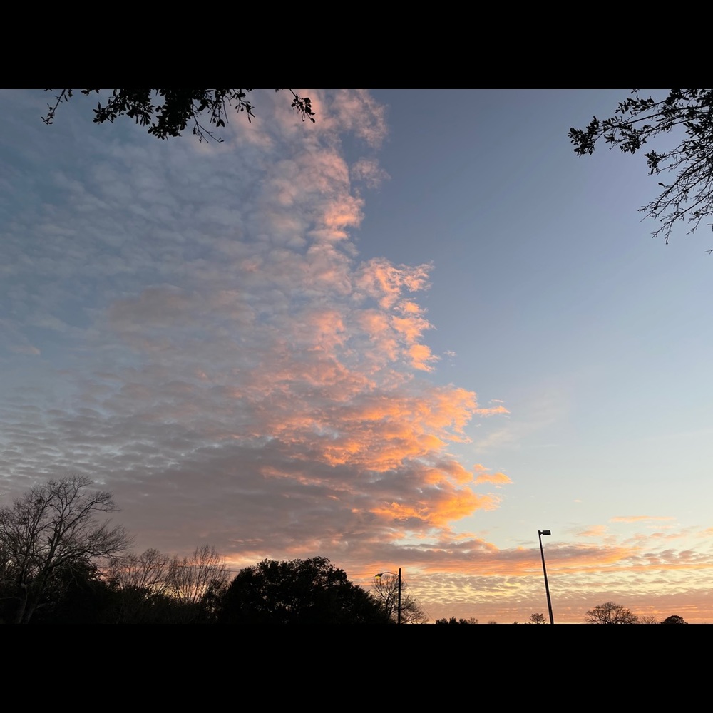 Meet your Posher, Claire